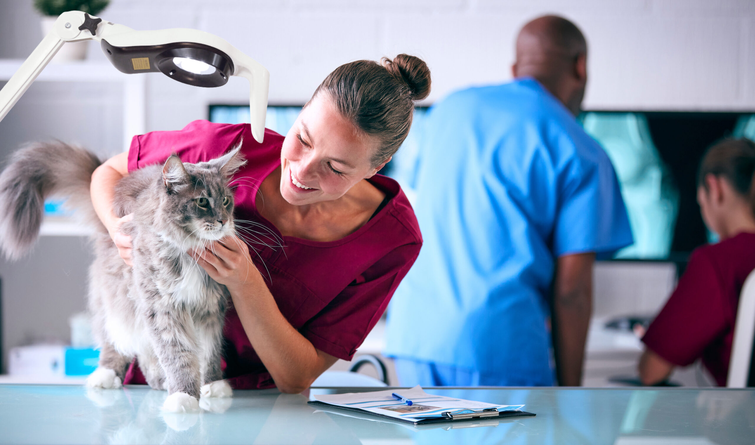 Animal Health Photoshop SELED Animal Health Photoshop SELED